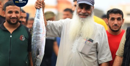 📸 Pictures from the fish market this morning in the port of Rafah.