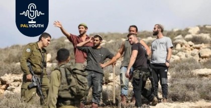 "Israeli settlers uproot 40 olive trees in Yasuf, east of Salfit."